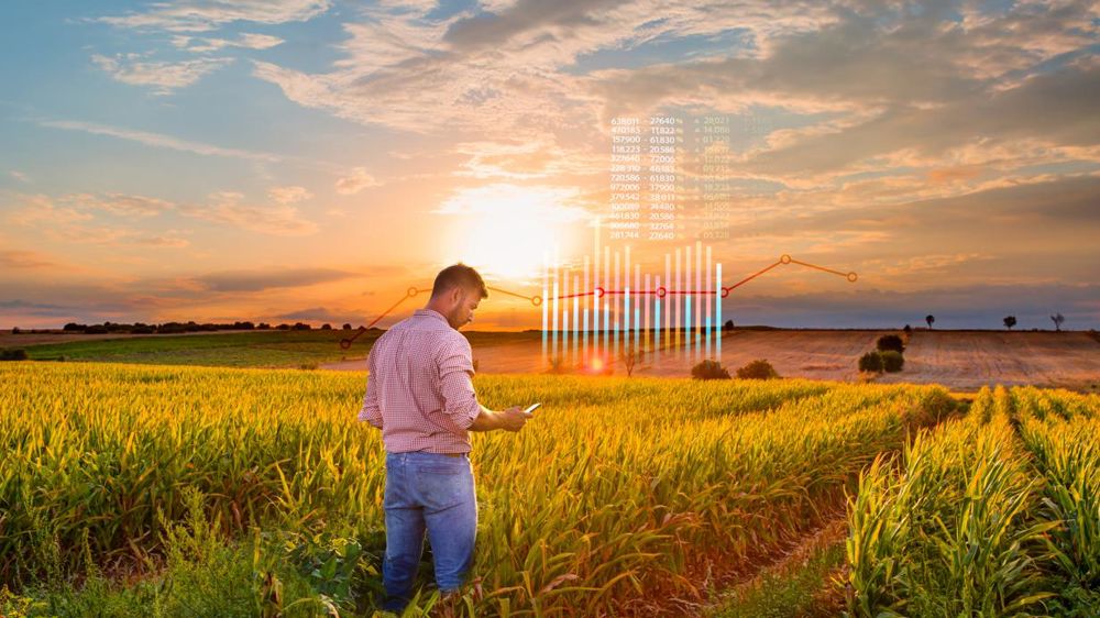 La gestion des pneus pèse dans la rentabilité d’une entreprise agricole, plus qu’on ne pourrait le croire. © Shutterstock